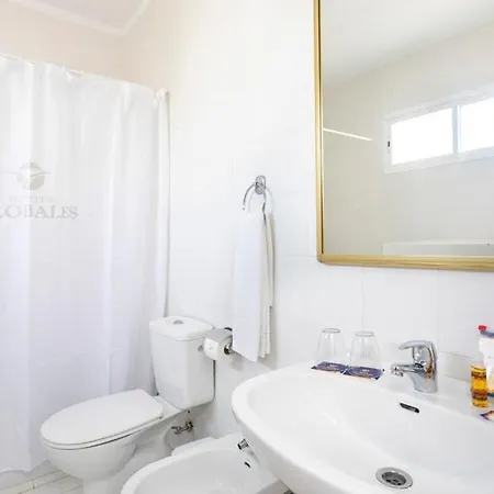 全球科斯塔热带酒店 科斯塔德安提瓜